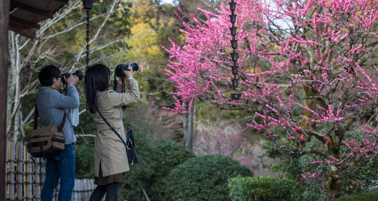 Dos jóvenes fotógrafos capturando vibrantes flores de ciruela rosa en un tranquilo jardín de templo