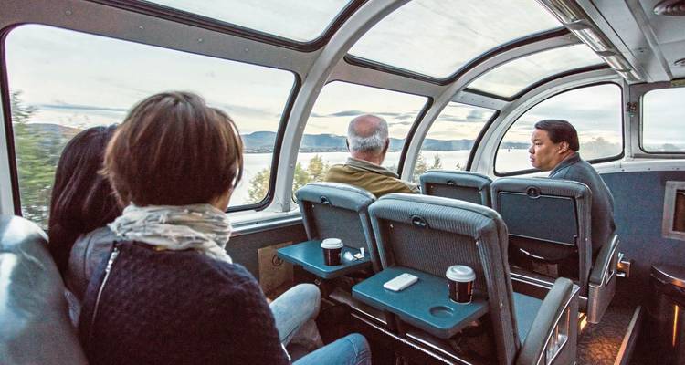 Passagers dans une voiture de train avec vues panoramiques sur un lac et des collines.