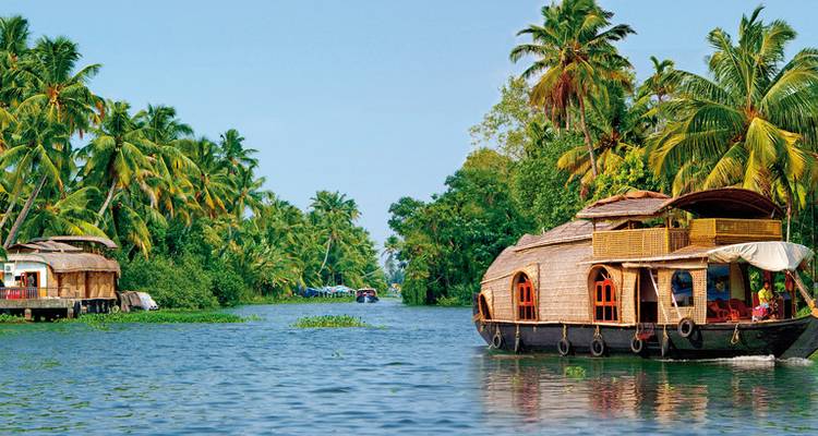 Péniche sur un bras mort serein avec une végétation luxuriante.
