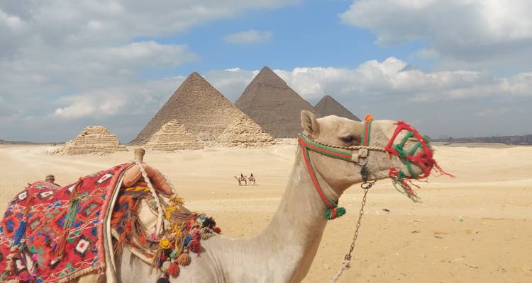 Best of Turkey, Egypt & Jordan (Istanbul/Cappadocia/Cairo/Nile cruise/Petra)All flights included - AB Voyages Egypt 3
