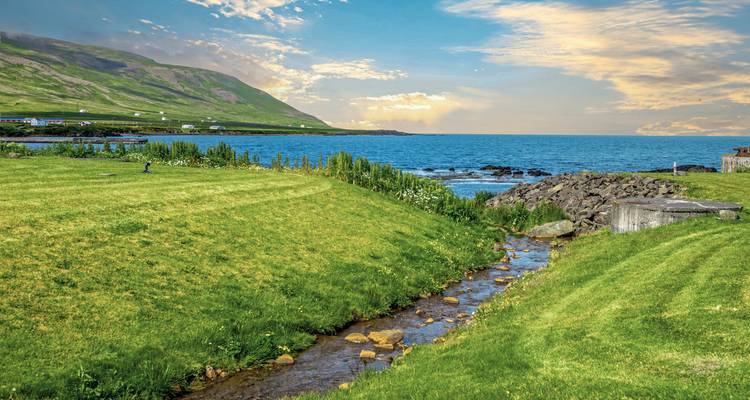 Üppige grüne Landschaft mit einem Bach, der ins Meer fließt.