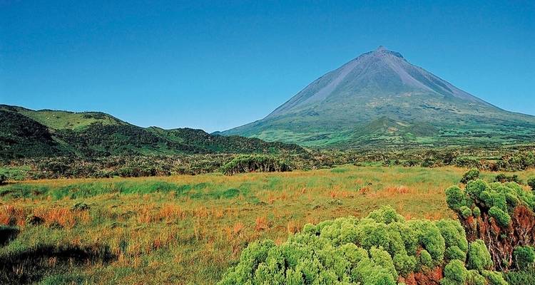 Whale watching and island hopping (from Ponta Delgada to Faial Island) - DERTOUR 3