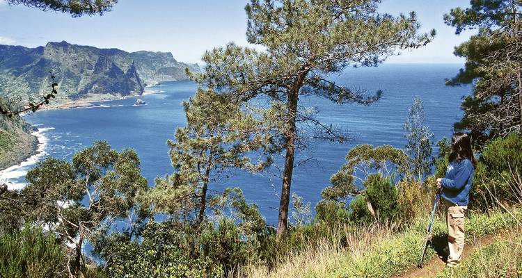 Vue de paysage avec une personne debout sur un sentier de randonnée surplombant l'océan, entourée d'arbres et de falaises.