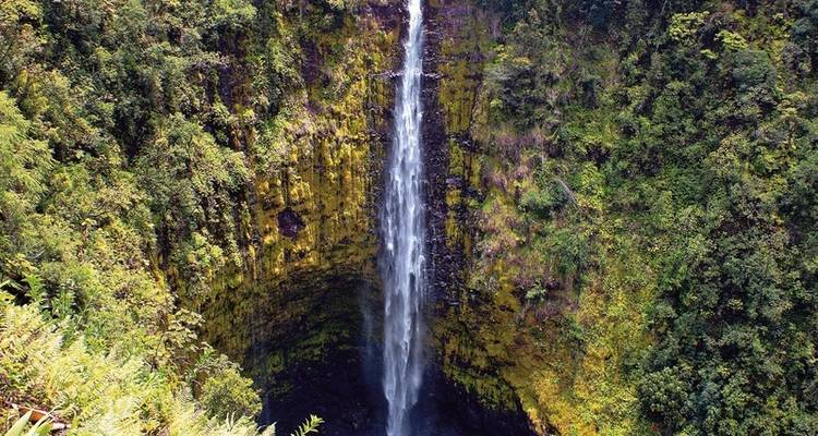 Actively Experience the Dream Islands of Hawaii - MEIERS WELTREISEN 8