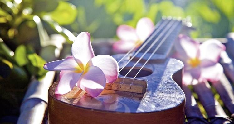 Actively Experience the Dream Islands of Hawaii - MEIERS WELTREISEN 9