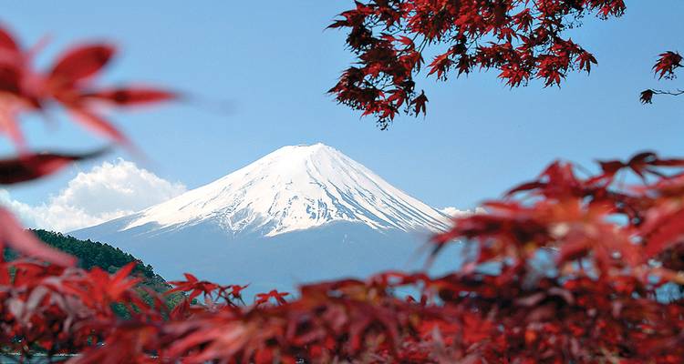 Snow-capped Mount Fuji framed by vibrant red autumn maple leaves under a clear sky.