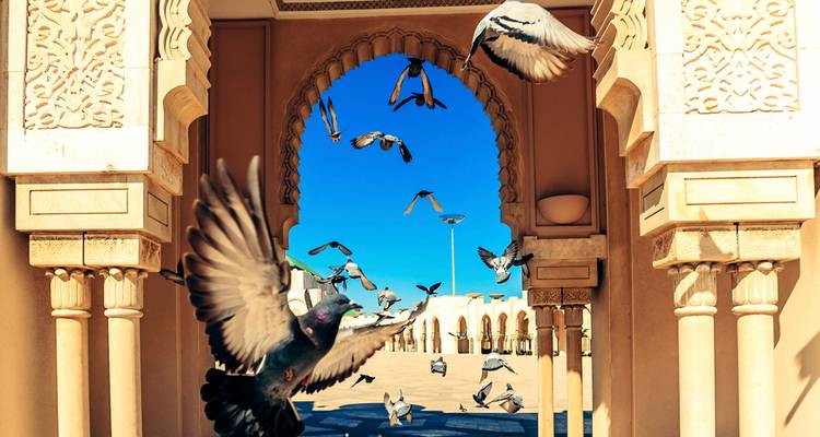 Toma dinámica de palomas enmarcadas por una intrincada arquitectura islámica contra un cielo azul vibrante.