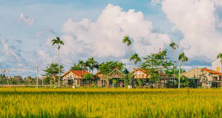 Hoi An Vespa Tours: Hoi An Highlights and Hidden Gems with Basket Boat Tour | Hoi An, Vietnam - Open Asia Travel  8
