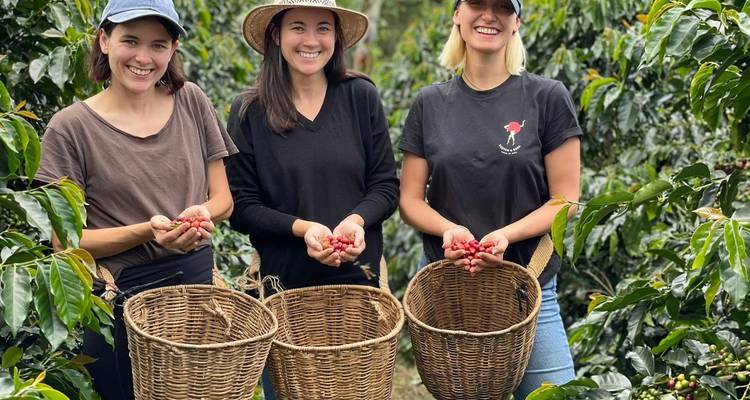 Visite de la région du café, de Medellin et des Caraïbes - ECUATRAVELING 1