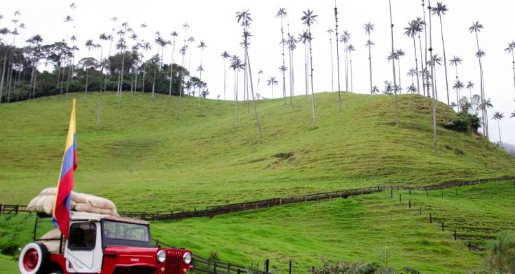 Visite de la région du café, de Medellin et des Caraïbes - ECUATRAVELING 6