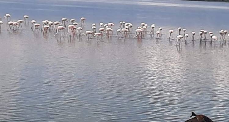 3-Day Amboseli -Tsavo East -Mombasa Midrange Safari-20% Off - Smile view Kenya tours and travel 3