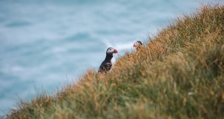 Vacances en famille en Islande - Intrepid Travel 5
