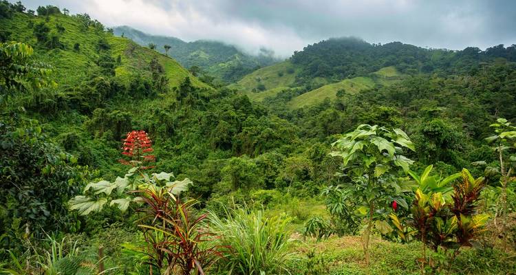 Colombia Adventure & Lost City Trek - Intrepid Travel 3