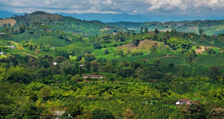 Colombia Adventure & Lost City Trek - Intrepid Travel 4