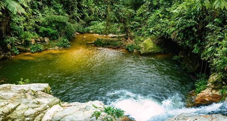 Colombia Adventure & Lost City Trek - Intrepid Travel 9