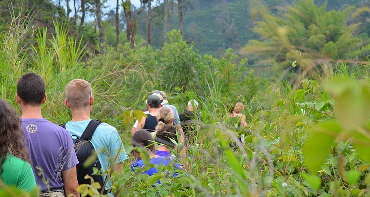 Groupe de personnes faisant de la randonnée à travers une végétation dense et verte dans une jungle.