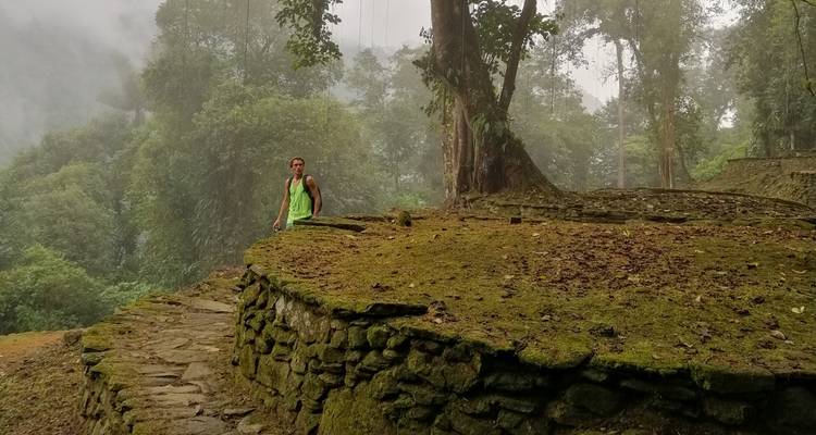 Personne debout sur d'anciennes ruines de pierre entourée de brouillard et d'arbres.