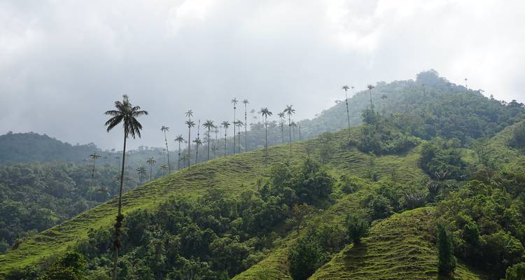 Colombie 5 régions à visiter absolument - Impulse Travel 10