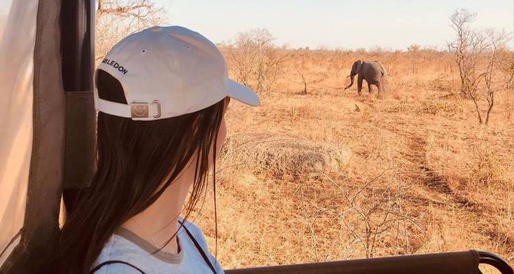 Una mujer en un vehículo de safari observa a un elefante solitario caminando por la sabana seca bajo la luz del atardecer.