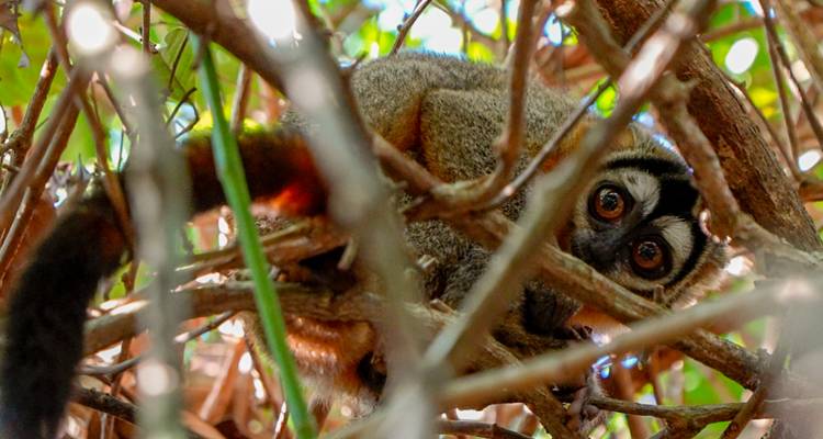 Le bonheur de la jungle au Tapiri Floating Lodge au cœur de l'Amazonie 5 jours et 4 nuits - Across Caribbean Excursions  1
