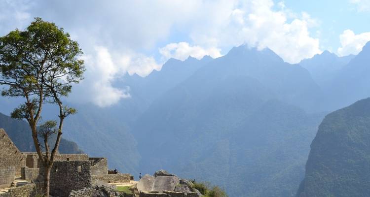 7 jours/6 nuits : Aventure amazonienne dans la vallée de Javari - Across Caribbean Excursions  1