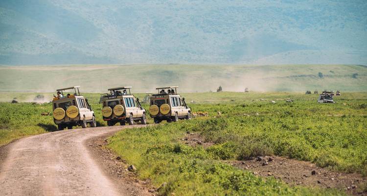 3 jours Lac Manyara, Ngorongoro et Tarangire - Samora Explorers Ltd 2