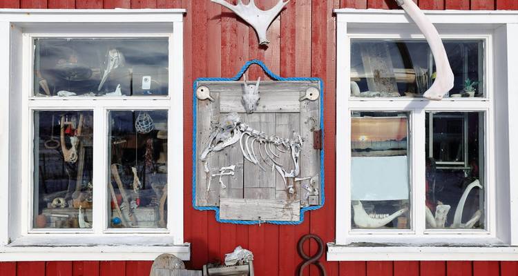 Aventure hivernale dans les Lofoten : La magie des aurores boréales et les maisons sur pilotis (3 destinations) - journaway 5