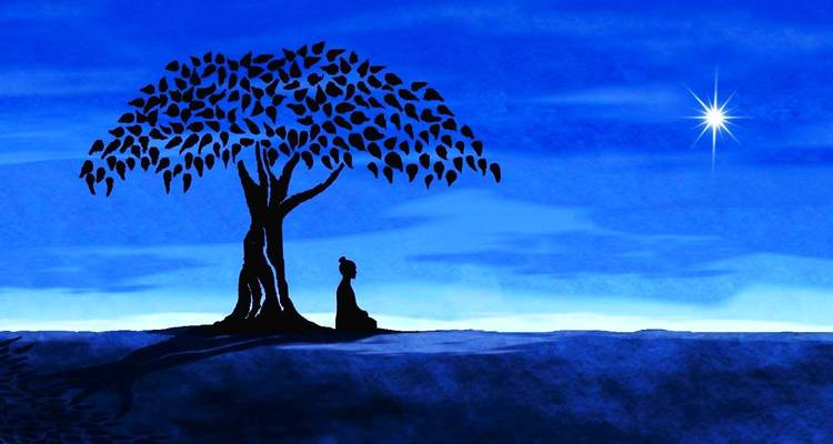 Digital artwork of a meditator under a tree with a star in the night sky.