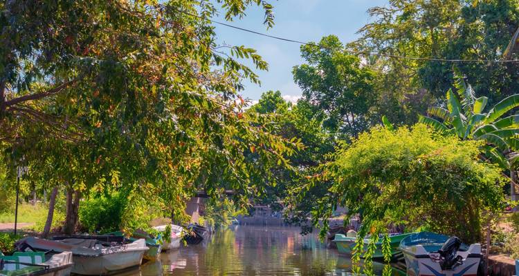 Experimenta Sri Lanka - Panoramic Tour & Travels 2