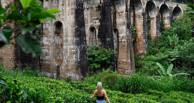A person standing in front of a large, arched stone bridge surrounded by greenery.