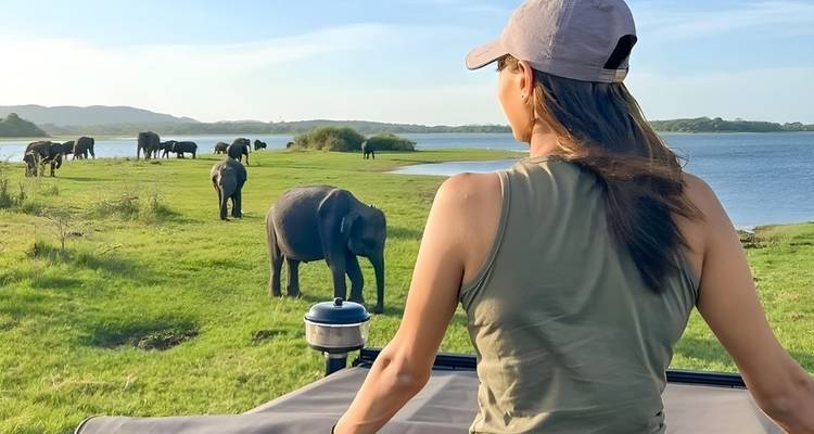 A woman observing elephants near a water body, set in a grassy field.