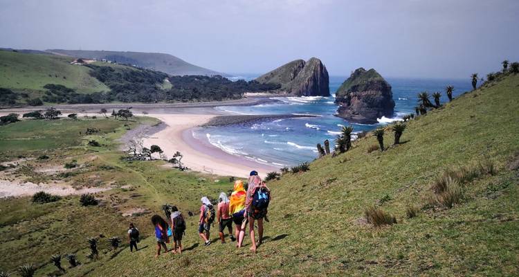 Les randonneurs descendent une pente herbeuse vers une vaste baie côtière avec des formations rocheuses au large.