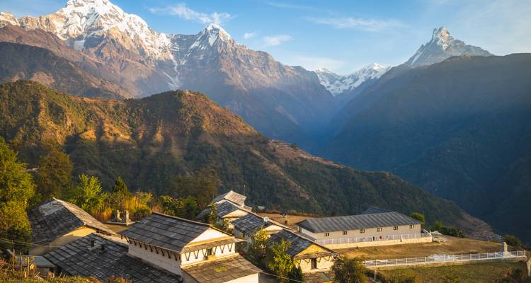Hameau traditionnel au toit d'ardoise niché sur une pente boisée sous les imposants sommets de l'Annapurna.