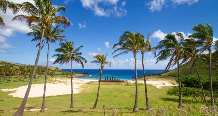 Palmbomen en kustlijn met een rij Moai-beelden.