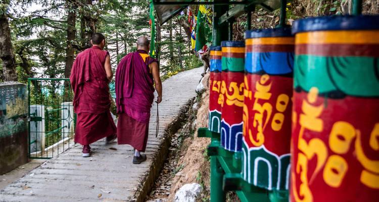 India Espiritual - Estribaciones del Himalaya - Explore! 4