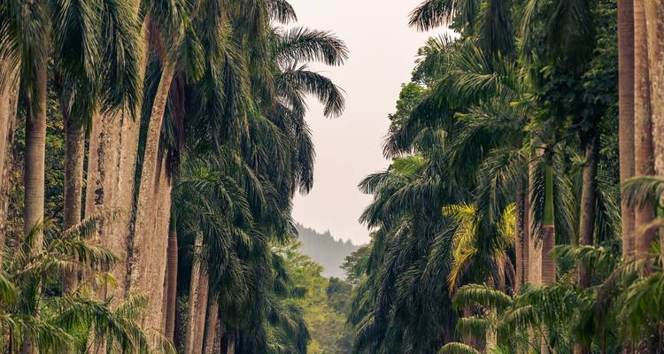Esplendores de Sri Lanka - Panoramic Tour & Travels 8