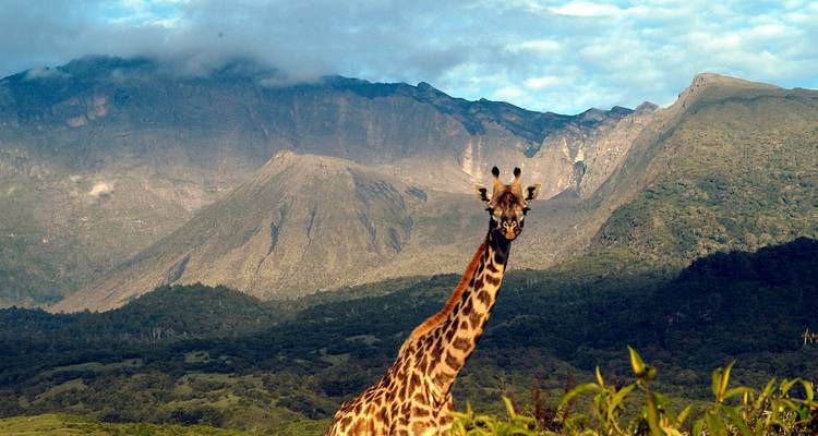 Safari de 8 días en Tanzania - Vida salvaje y educación - Lights on Africa Destinations & Safaris 1