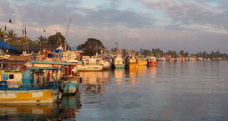 Maravillas de Sri Lanka - Panoramic Tour & Travels 2
