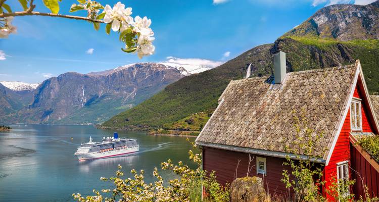 Lo Mejor de Noruega Circuito Privado - Firebird Tours 2