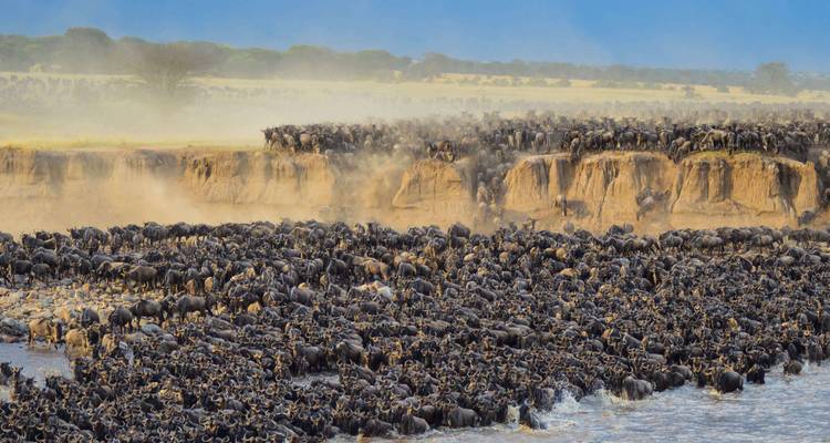 Safari animalier de 7 jours en Tanzanie - Lights on Africa Destinations & Safaris 10