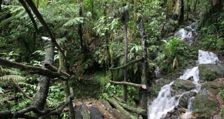 Guatemala Overland en 11 jours - Receptivo Aborigen Tours 10