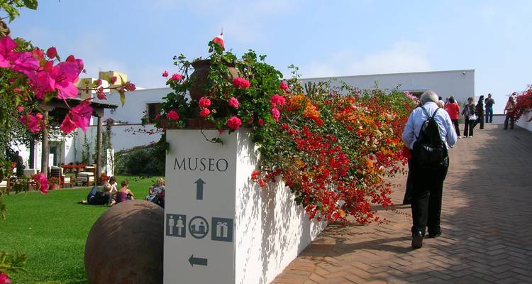 Lima City Tour, Chatedral, Convent of Santo Domingo and Larco Museum Half Day - VIAJES PACIFICO 6