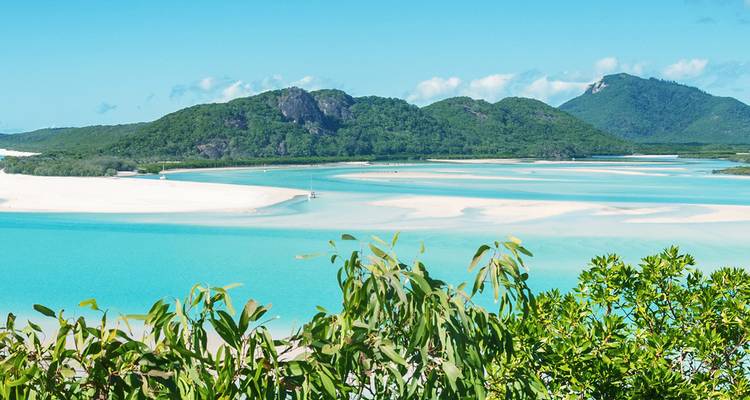 Aventura de Brisbane a Cairns - Intrepid Travel 7