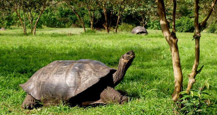 Galápagos Abarcado - 17 días (17 destinations) - On The Go Tours 3
