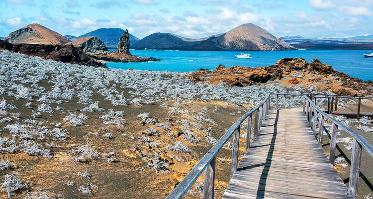 Un sendero de madera conduce a través del terreno volcánico hacia aguas turquesas y conos de toba dentados de una bahía de las Galápagos.