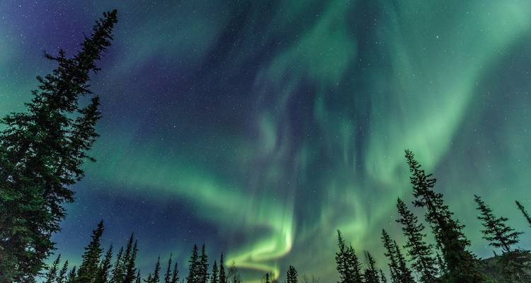 Explorador de Auroras Boreales - The Klondike Experience  1