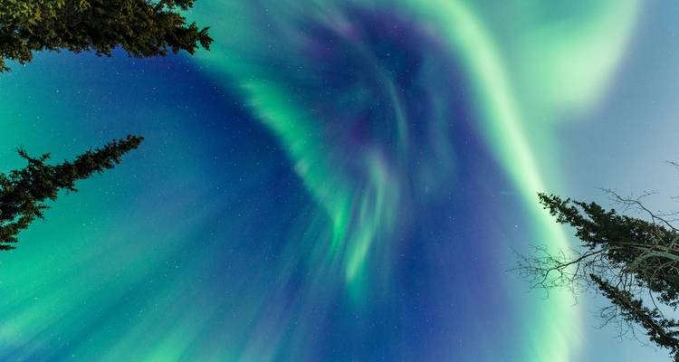 Explorador de Auroras Boreales - The Klondike Experience  8