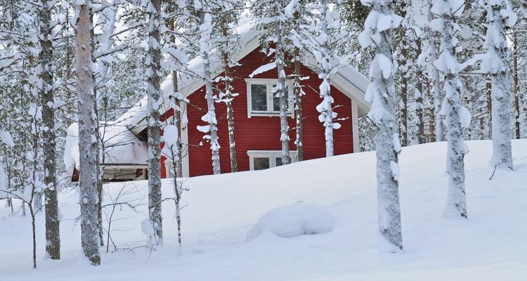 Finnish Lapland: Snowy Forests & Husky Adventure - journaway 5