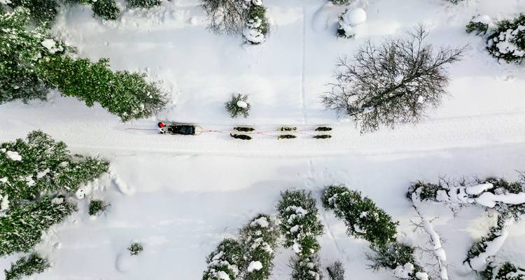 Finnish Lapland: Snowy Forests & Husky Adventure - journaway 3