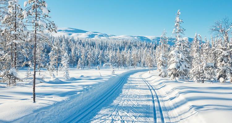 Finnish Lapland: Snowy Forests & Husky Adventure - journaway 4